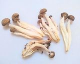 A picture of step 9 of Oil Spaghetti with Dried King Oyster Mushrooms.