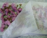 A picture of step 2 of Salt Pickled Cherry Blossom.