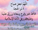 صورة لخطوة 11 من وصفة دولمة باذنجان