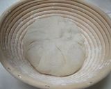 A picture of step 5 of Pain de Campagne With Walnuts and Cranberries: 5 minutes in a Bread Maker.