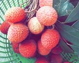 A picture of step 2 of Fresh Fruit Salad🥗.