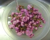 A picture of step 1 of Salt Pickled Cherry Blossom.