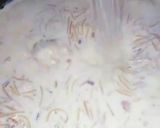 A picture of step 4 of Sheer khurma.