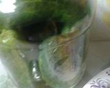Fermented Dill Pickles recipe step 1 photo