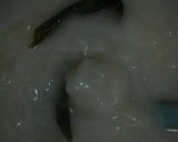 Foto langkah ke 2 dari resep Singkong Thailand ala Umi.