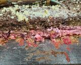 Foto del paso 6 de la receta: Postre de frutillas y chocolate 🍫🍓