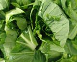 Foto langkah ke 1 dari resep Sayur pakcoy.