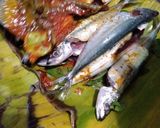 Foto langkah ke 3 dari resep Pepes Ikan Dencis.