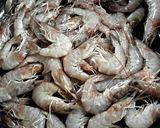A picture of step 1 of Kanya's Shrimps Fried rice.