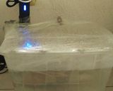 Foto del paso 8 de la receta: Pernil horneado al sous vide
