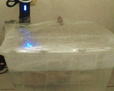 Foto del paso 8 de la receta: Pernil horneado al sous vide