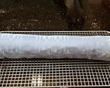 A picture of step 11 of Vanilla Cake Roll.