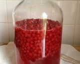 A picture of step 6 of Red Currant Sour Drink.