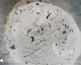 A picture of step 3 of Dry Fruit cake.