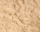 Foto del paso 7 de la receta: Pizza con masa tipo focaccia