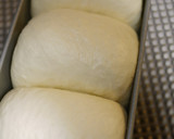 A picture of step 7 of Square Bread Loaf (Bread Maker Dough).