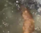 A picture of step 1 of Quick and Easy Shakarkandi.