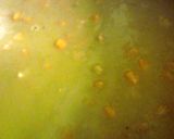 A picture of step 12 of Split Pea Soup.
