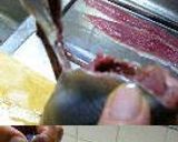 A picture of step 3 of Fresh Pacific Saury Prepared with a Home Kitchen Knife (Sashimi and Cured with Vinegar).