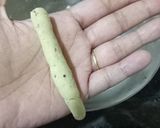A picture of step 2 of Sattu Fingers.