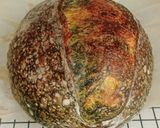 Foto langkah ke 23 dari resep Bumblebee Sourdough Bread (88% - Oven Tangkring).