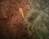 A picture of step 3 of Potato soup by me.