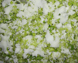 Foto del paso 2 de la receta: Tortillas con loroco y queso mozzarella