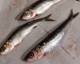 Une image de l'étape 4 de Sushis 🍣 de sardines.