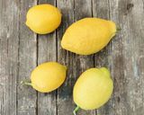 Foto del passaggio 1 della ricetta Sale integrale di Sicilia al profumo di limone