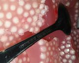 Foto langkah ke 3 dari resep Sago Pearl Jelly.