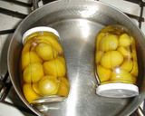 A picture of step 6 of Notes on Candied Chestnuts.