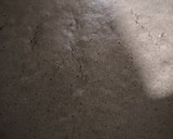 Foto del paso 3 de la receta: Toques decembrinos