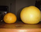 A picture of step 18 of The Absolutely Best Way To Peel Grapefruit.