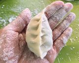 A picture of step 4 of Pork and Cabbage Dumplings (Shuijiao) + How to Cook Dumplings.
