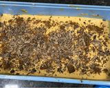 Foto del paso 3 de la receta: Chocotorta 🍫