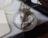 Foto del paso 2 de la receta: Montaditos de tomate y queso fresco