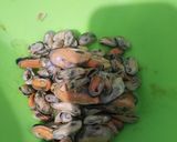 Foto langkah ke 1 dari resep Oseng Kerang dan Kulit Melinjo.
