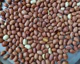 शेंगदाण्याचे लाडू (Shengdanyache Ladoo Recipe In Marathi) रेसिपी स्टेप 1 फोटो 