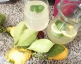 Une image de l'étape 8 de Citronade menthe fraiche citron de menton.