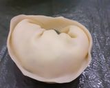 Foto del paso 8 de la receta: Capeletis y / o Agnielotis rápidos y caseros