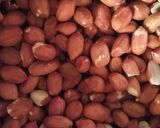 صورة لخطوة 2 من وصفة كوكاو مملح 🥜