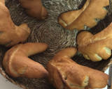 Foto del paso 15 de la receta: Rohliky de mantequilla (panecillos checos) en mambo
