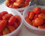 Foto del paso 1 de la receta Tomate confitado