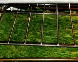 A picture of step 6 of Mike's Oven Dried Herbs.