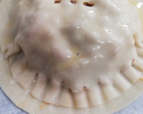 Foto del paso 4 de la receta: Empanadillas de carne con verdura