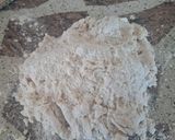 Foto del paso 4 de la receta: Panes caseros con semillas de sésamo🍞