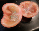 Foto del paso 1 de la receta: Tomates asados con berenjenas