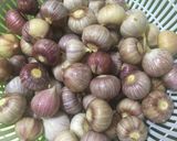 Hình bước làm 2 của món Cách Làm Tỏi Đen