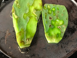 Nopal asado con queso