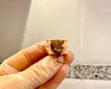 Foto del paso 23 de la receta: Bombones de chocolate y café